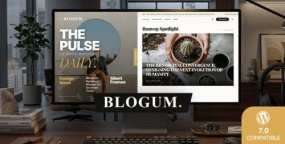 Blogum WordPress主题_杂志期刊网站模板_自带AEO优化