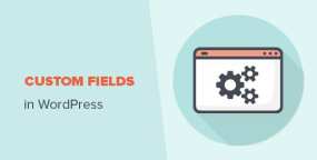 WordPress主题开发中操作自定义字段（Custom Fields）的函数