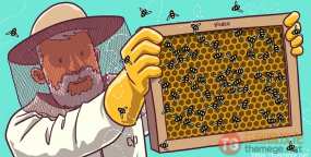 SEO基础知识系列：网站结构优化终极指南