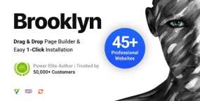 Brooklyn(v4.9.95)创意多用途通用建站WordPress主题