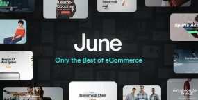 June 2.3.1 响应式极简WooCommerce外贸商城主题