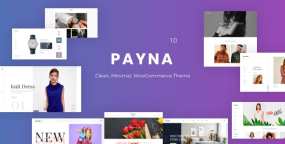 Payna(v1.2.9)极简外贸电子商务WordPress主题