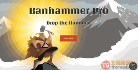 Banhammer Pro汉化版(v2.9.4)监控流量并禁止恶意访问者WordPress插件