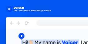 Voicer汉化版(v3.3.1)文本文字转语音WordPress插件