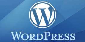 在WordPress开发中使用esc_html()等函数转义输出 提高安全性