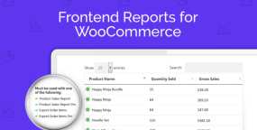Frontend Reports汉化版v1.0.14 前端数据报表插件