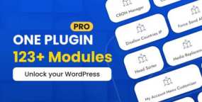 WPMasterToolKit Pro汉化版_WordPress一站式优化插件