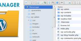 WordPress插件 File Manager 仪表盘FTP插件