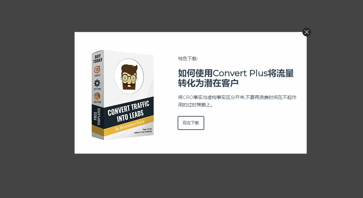 Convert Plus汉化版(v3.6.0)弹窗构建器WordPress插件 - 图片3 Convert Plus汉化版(v3.6.0)弹窗构建器WordPress插件 - 图片3