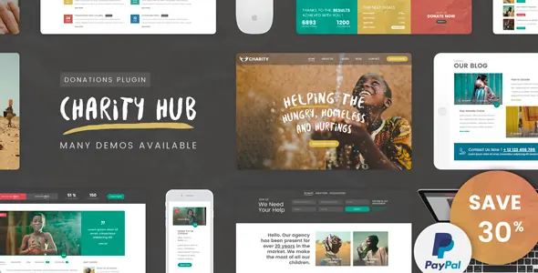WordPress主题Charity Hub 2.8.0 慈善机构公益筹款网站模板 - 图片1