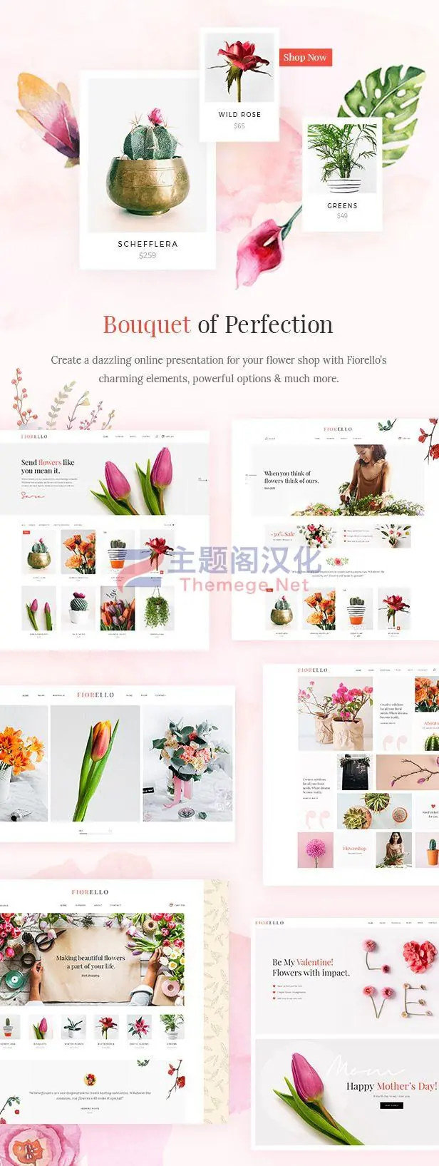 Fiorello 1.5 花卉绿植购物网站WooCommerce主题 - 图片2 Fiorello 1.5 花卉绿植购物网站WooCommerce主题 - 图片2