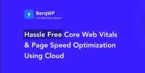 BerqWP Pro汉化版_网站速度优化与核心Web指标提升