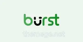 Burst Statistics Pro 3.1.6.1 轻量级WordPress流量统计插件