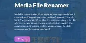 Media File Renamer Pro媒体库文件重命名WordPress插件