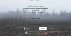 如何将WordPress网站置于维护模式？
