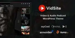 VidSite汉化版v2.3.9_WordPress会员制影视短视频主题