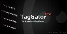 [2.11]自动文章标签生成器WordPress插件Tagor Pro汉化版