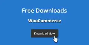[3.5.1]Free Downloads Pro免费虚拟产品免结账直接下载WooCommerce插件