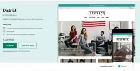 District服装配饰跨境电商独立站Shopify主题4.1.1