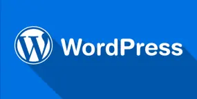 Wordpress建站教程：禁用头像和评论来给网站加速