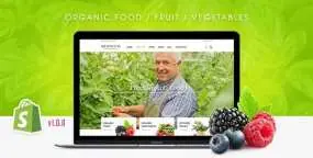 Fresh Food生鲜果蔬店网站Shopify主题V1.0.1
