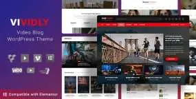 Vividly影视工作室和视频博客网站WordPress主题V1.5.4