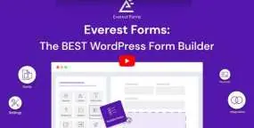 Everest Forms Pro汉化版_简易表单设计WordPress插件