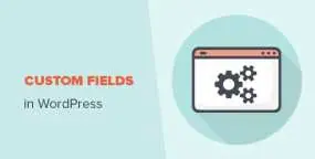 WordPress主题开发中操作自定义字段（Custom Fields）的函数