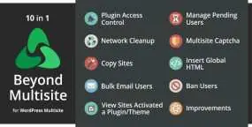 Beyond Multisite破解版(v1.17.2)多站点网络优化管理WordPress插件
