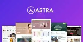 Astra Pro汉化版_Astra主题页面设计器WordPress插件